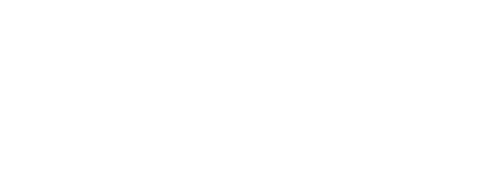 Logo VDN partner blanc